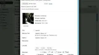 Wordpress Tutorials: upload & insert an image into a page/post