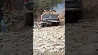 Безбашенний пан...