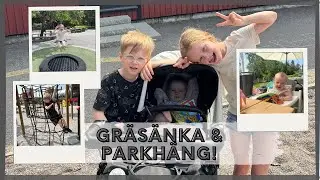 Parkleken Gulsippan & gräsänka!