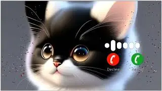 New Message Ringtone 2022| Sms Tone |sms ringtone |notification ringtone |massage ringtone 2022