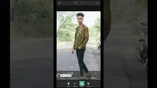 manipulation background change in picart 