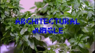 Архитектурные Джунгли #SAlab #verticalfarming #3dprinting #workshop #architect