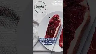 Grain-Fed vs Grass-Fed Beef #butcherbox