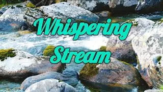 Whispering Stream Fall Asleep Fast With Beautiful, Calming Sounds