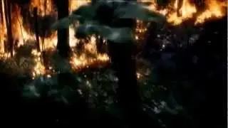 THG || World On Fire