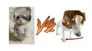 rulsofnator VS memorisbrokin (Epic Rap Battle)