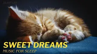 MUSIC FOR SLEEP//SWEET DREAMS//DEEP SLEEP MUSIC.