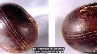 ТОР И СВЕНТАНА О ДРЕВНОСТИ НАШЕГО МИРА И НОВОМ ЧЕЛОВЕКЕ оформление рахмана БрониСлава