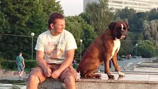 Воспоминания