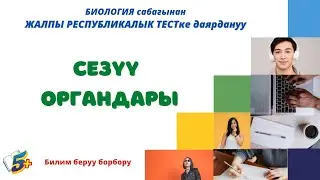 Сезуу органдары.| Биология