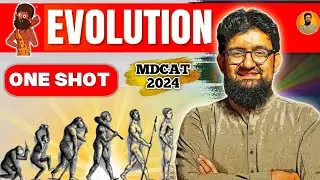 Evolution | One Shot Video