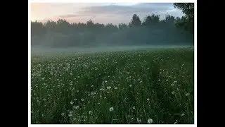 Пули догоняют стрелка