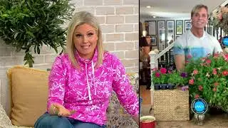 Phillip Watson Designs 4-Pc Shock Wave Petunias Live Plants on QVC
