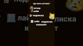 11 июня 2023 г.