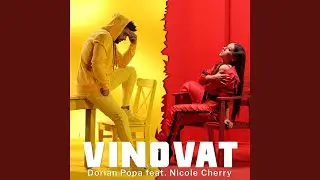 Vinovat (feat. Nicole Cherry)