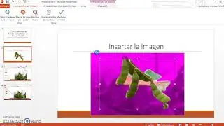 Cómo eliminar el fondo de una imagen en power point