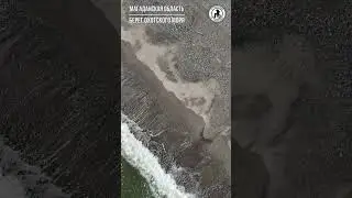 БЕРЕГ ОХОТСКОГО МОРЯ 