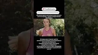 https://rozetka.com.ua/436742405/p436742405/