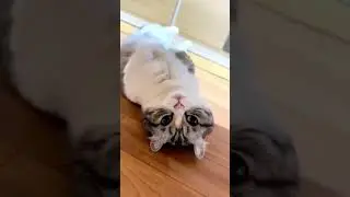 Эдит с КОМАРУ 