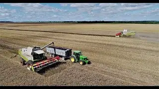 Canola Harvest | Season 2017 [www.plakys.lt]