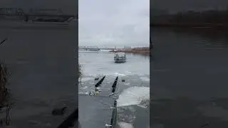 Надеюсь этот #рыбанутый последний в этом году 😁