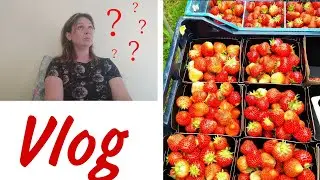 🇵🇱 Vlog 13. 2 недели в Польше. Буду ругаться.😡