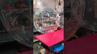Герметичный шар зорб с TiZiP  молнией из TPU от ТаймТриал  или почувствуй себя хомяком