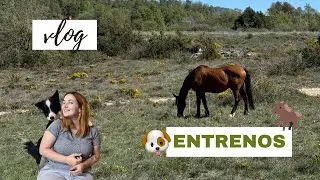 Entrenando con Xaloc y con Moon - VLOG | Laia x Xaloc