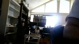 My Cat Diddling A Blanket