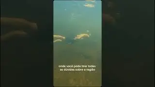 Caiaque no Vale do Gigante em Antonina com a Gusso Turismo.    Reserva 41 984596825