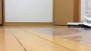 Штурмфюрер попугайен!