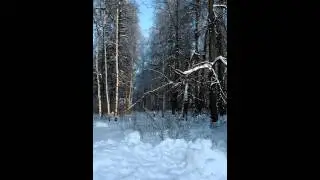Пример записи с Wileyfox Storm