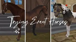 Trying Event Horses! And bringing one home| Star Stable RRP| Willow Creek Eventing