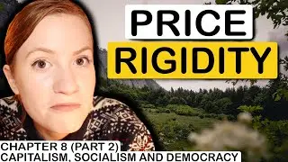 Price Rigidity (Part 2) | Chapter 8