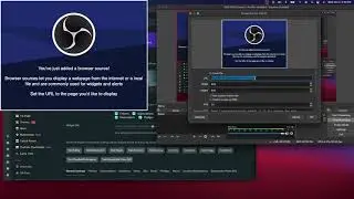 How I set up my OBS on Mac (Twitch chat overlay, Discord VC overlay and more)