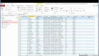 24 Access 2013 Formatting columns
