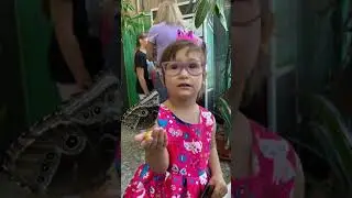 VLOG Николь в музее бабочек
