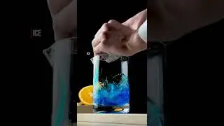 Ocean Negroni