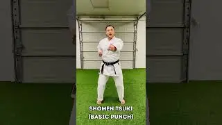 Shomen Tsuki (Basic Punch)