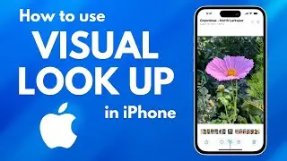 Visual Look Up EXPLAINED | hidden features tips and tricks
