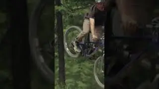 Steeze sessions in Jackson, WY