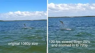 Tutorial on using a GoPro to video fishing
