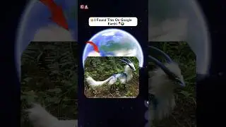 I Found The Strange Fox On Google Earth! 😰🌎 