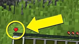 I Beat Minecrafts Hardest Challenge...