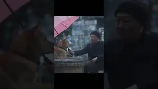 Пёс 10 лет ждал хозяина,который никогда не вернеться😪