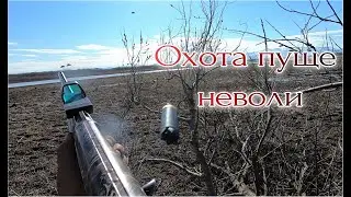 Часть 1. Весенняя охота на Камчатке 2021!