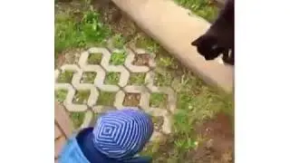 как дела у кошечки?))