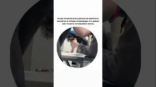 Ну жиза же #хоффман