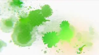 Holi Colors Green Screen  Colour 