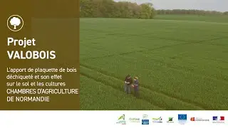 Valobois : l'apport de plaquette de bois déchiqueté et son effet sur le sol et les cultures 🪵